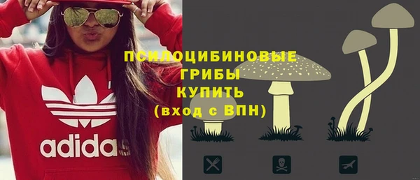метадон Арсеньев