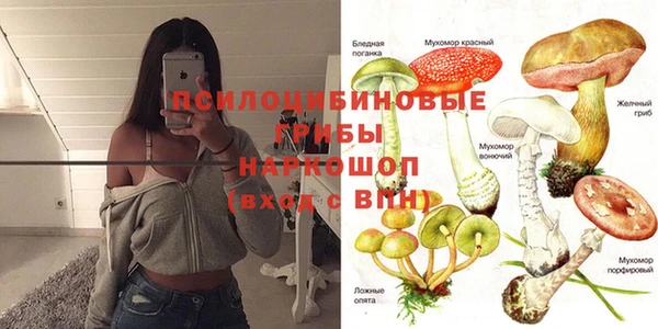 прущие крисы Армянск
