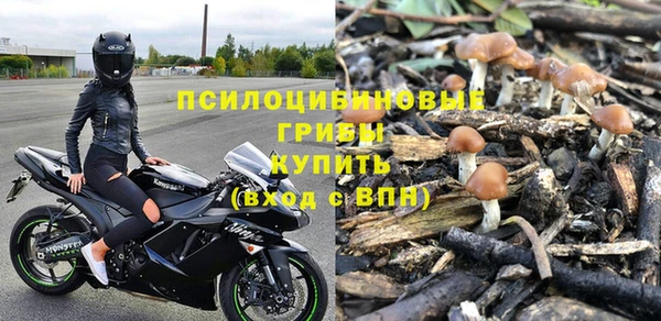 метадон Арсеньев
